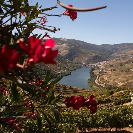 Casa Da Avo Selene - Refugio Rustico E Exclusivo No Douro