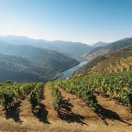 Casa Da Avo Selene - Refugio Rustico E Exclusivo No Douro Дом отдыха *