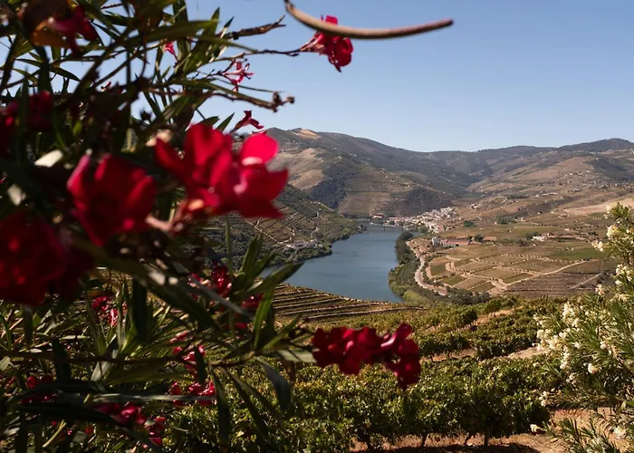 Refugio Rustico - Exclusivo